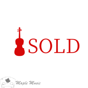 Sandro Asinari (サンドロ・アジナリ) 2024 特注品 | Maple-Music