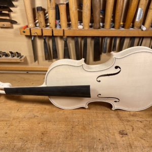 Sandro Asinari (サンドロ・アジナリ) 2024 特注品 | Maple-Music